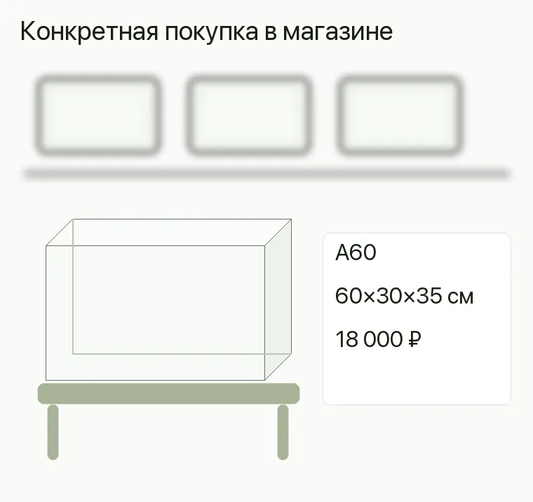 Реклама аквариумов: предложение и путь клиента