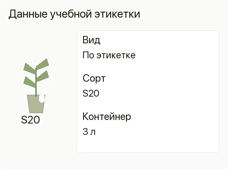 Реклама магазина саженцев: Данные учебной этикетки. Вид По этикетке Сорт S20 Контейнер 3 л .