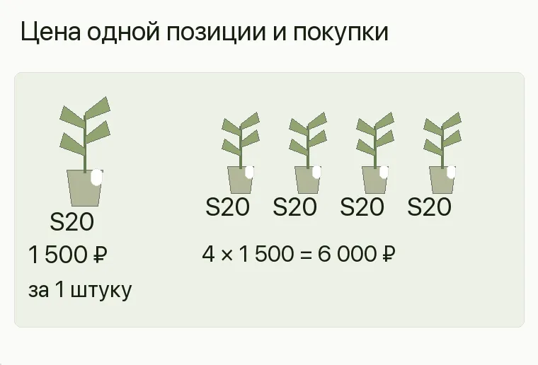 Реклама магазина саженцев: Цена одной позиции и покупки. Один саженец 1 500 ₽ за 1 штуку Четыре саженца 4 × 1 500 = 6 000 ₽ .