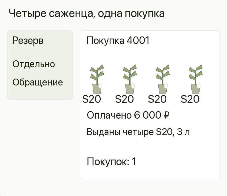 Реклама магазина саженцев: Четыре саженца, одна покупка. Покупка 4001 Оплачено 6 000 ₽ Выдано Четыре S20 в контейнерах 3 л Завершённых покупок 1 .