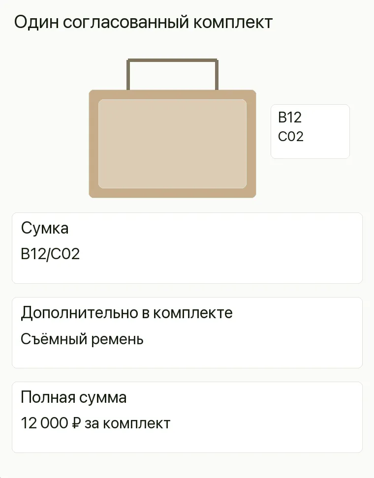 Реклама магазина сумок: Один согласованный комплект. Сумка B12/C02 Дополнительно в комплекте Съёмный ремень Полная сумма 12 000 ₽ за комплект .
